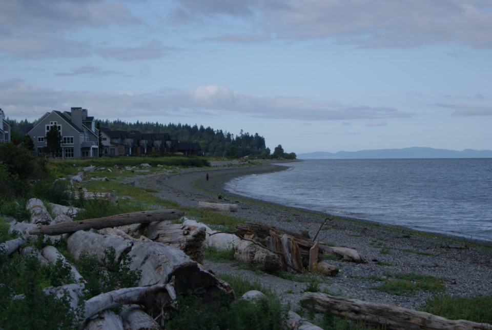 a beach with a group of houses and trees