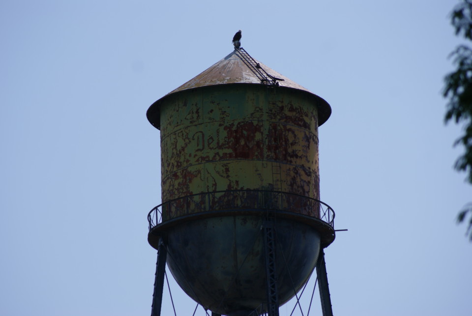 a bird on top of a water tower