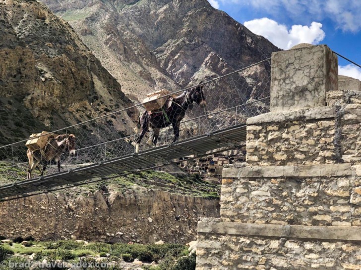 donkeys crossing a bridge over a mountain