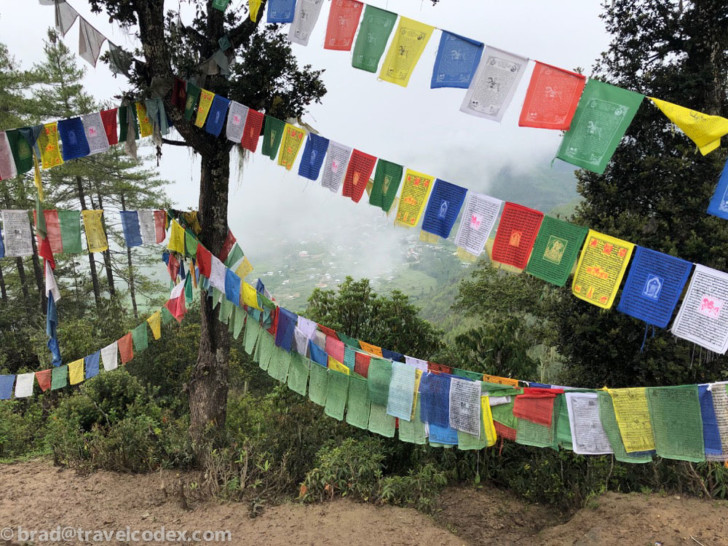 a tree with many flags