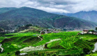 a green field with a village in the background