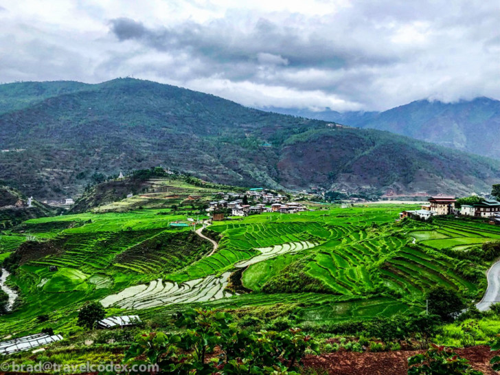 a green field with a village in the background