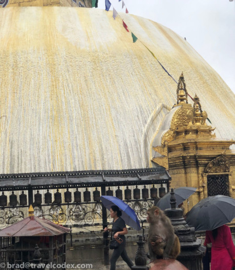 people with umbrellas and monkeys in front of a gold dome