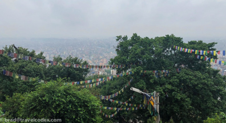 a group of trees with flags