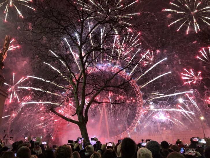 a crowd of people watching fireworks in front of a large tree