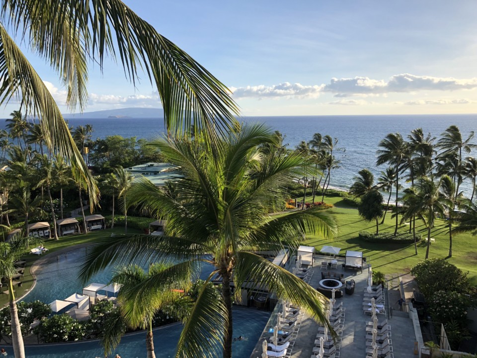 a pool with palm trees and a body of water
