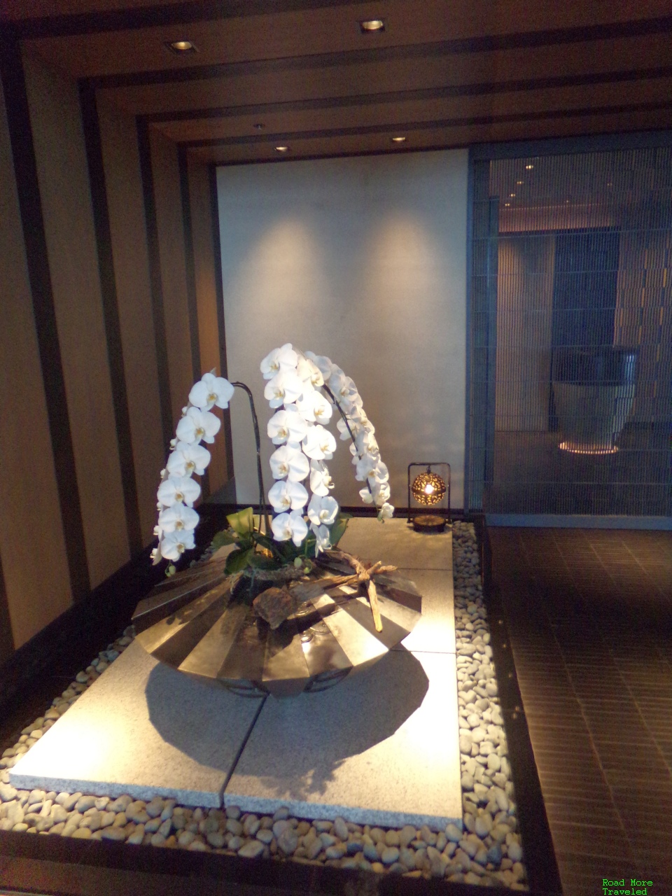 Lobby orchids