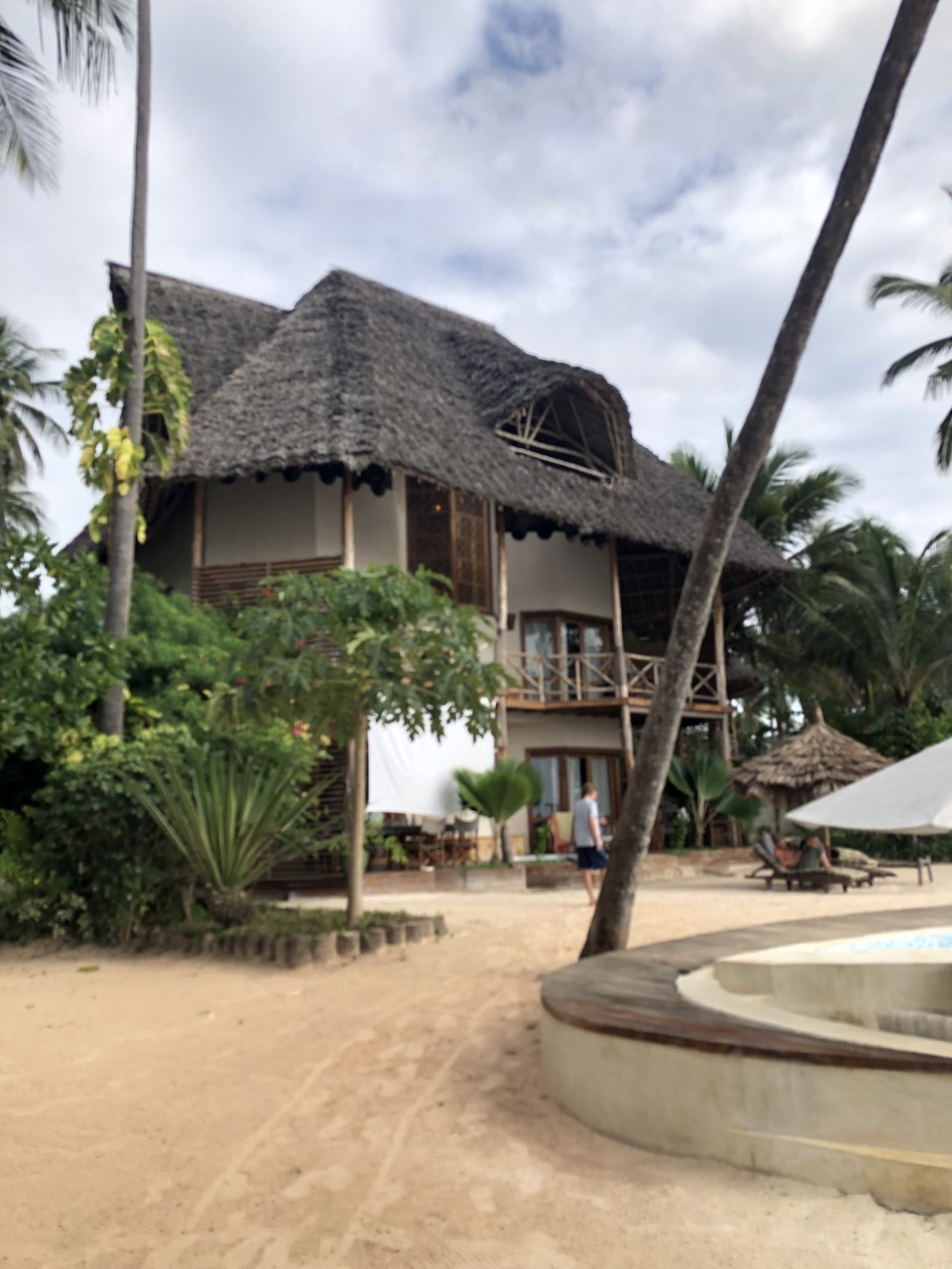 a building with a thatched roof and palm trees