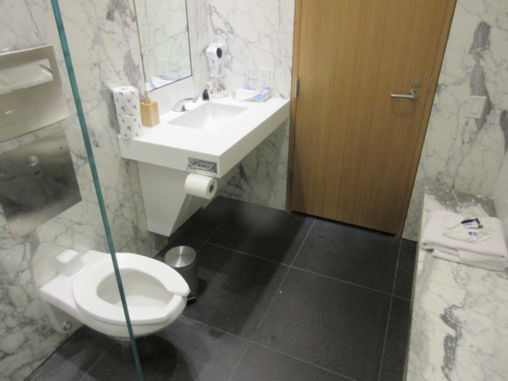 a bathroom with a sink and toilet