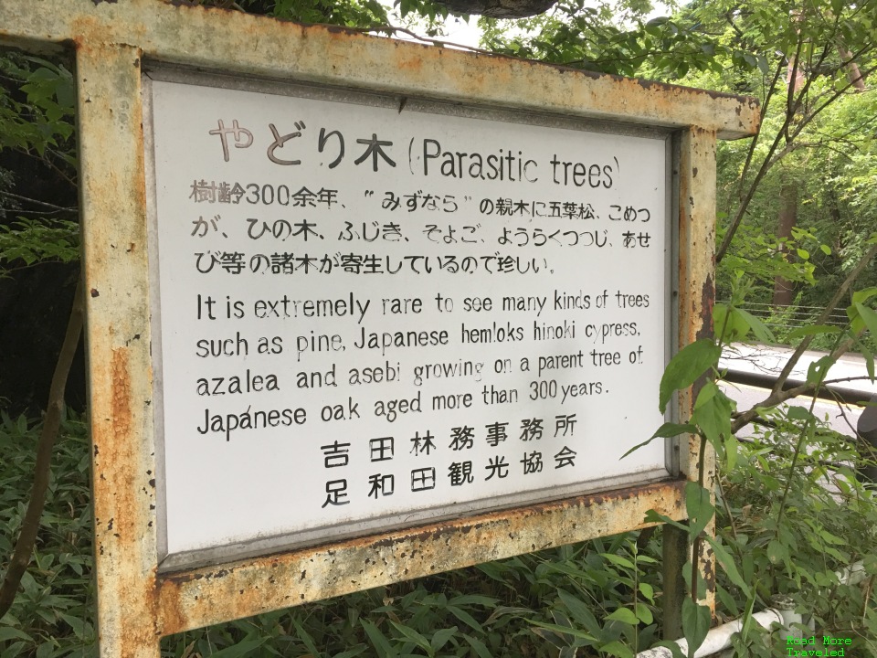 "Parasitic Trees" sign