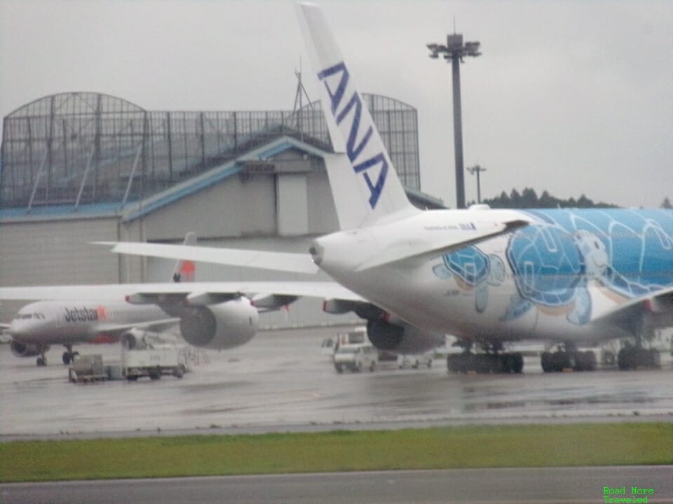 ANA Honu A380