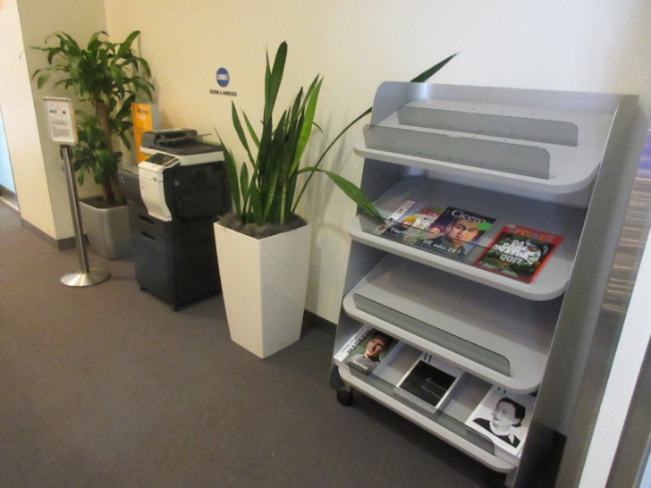 a grey shelf with magazines and a plant in a white pot