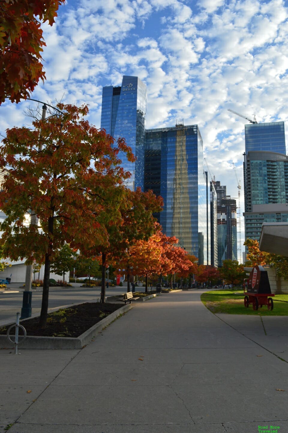 Toronto fall foliage