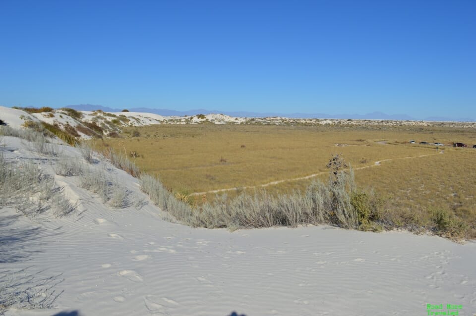 White Sands of New Mexico - view of desert from Dune Life Nature Trail