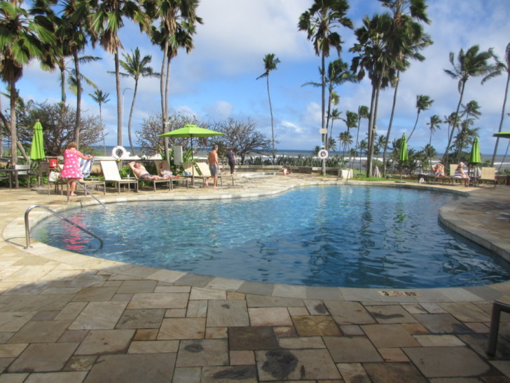a pool with palm trees and people