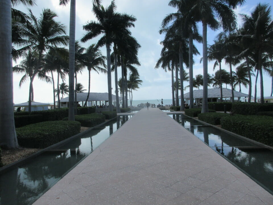 a walkway with palm trees and a body of water