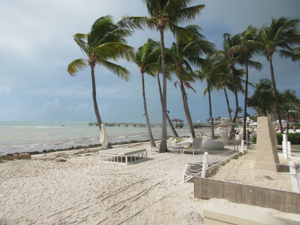a beach with palm trees and chairs