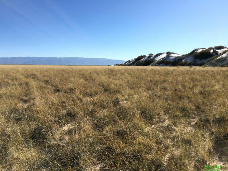 White Sands of New Mexico - Dune Life Nature Trail