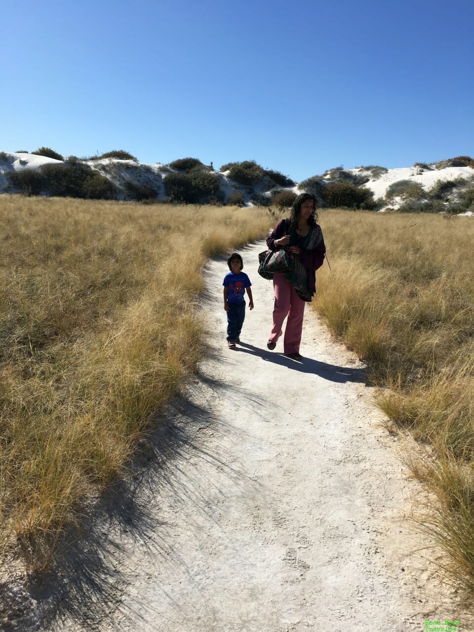 White Sands of New Mexico - Dune Life Nature Trail trailhead