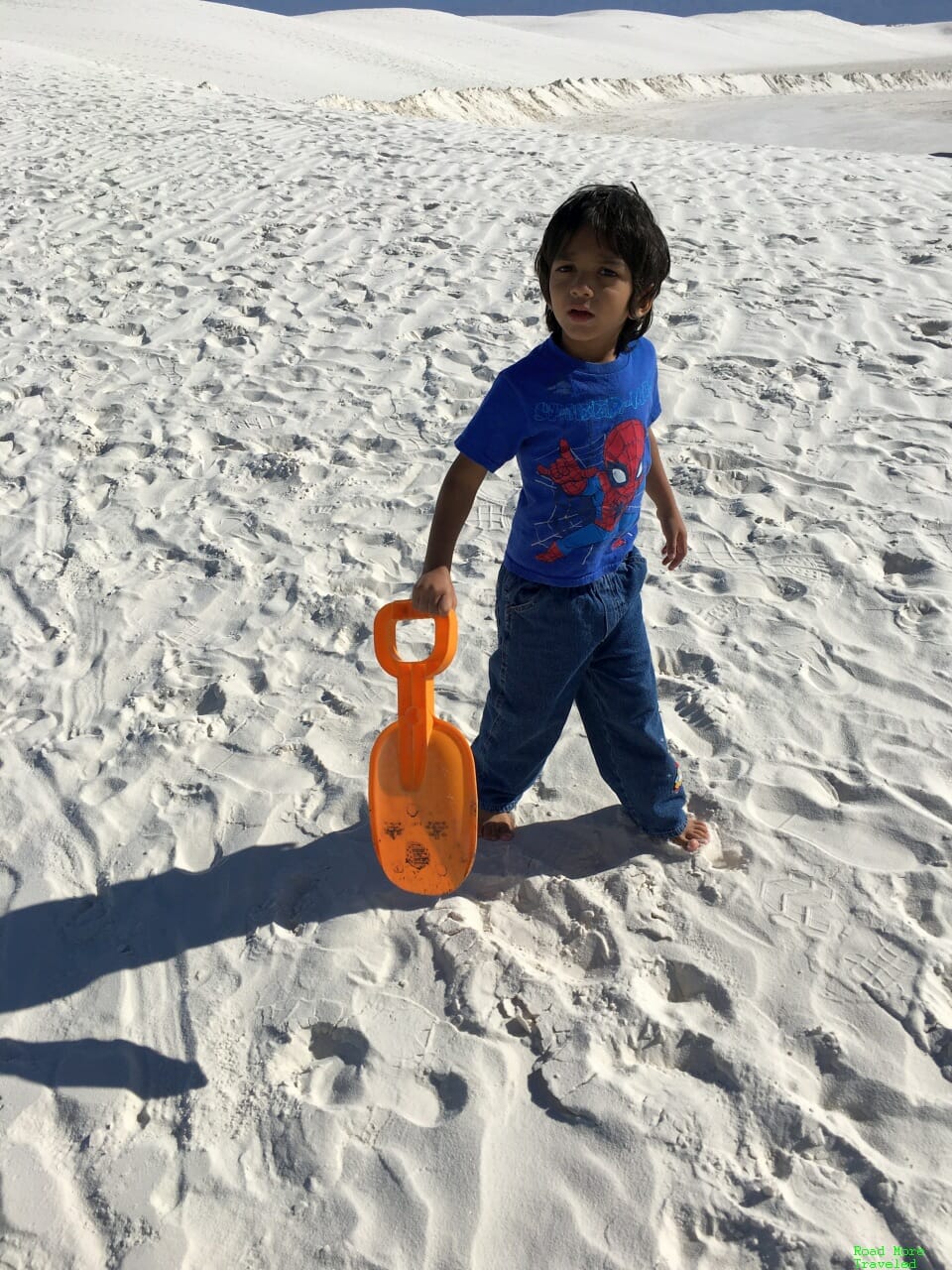 Beach day on the dunes