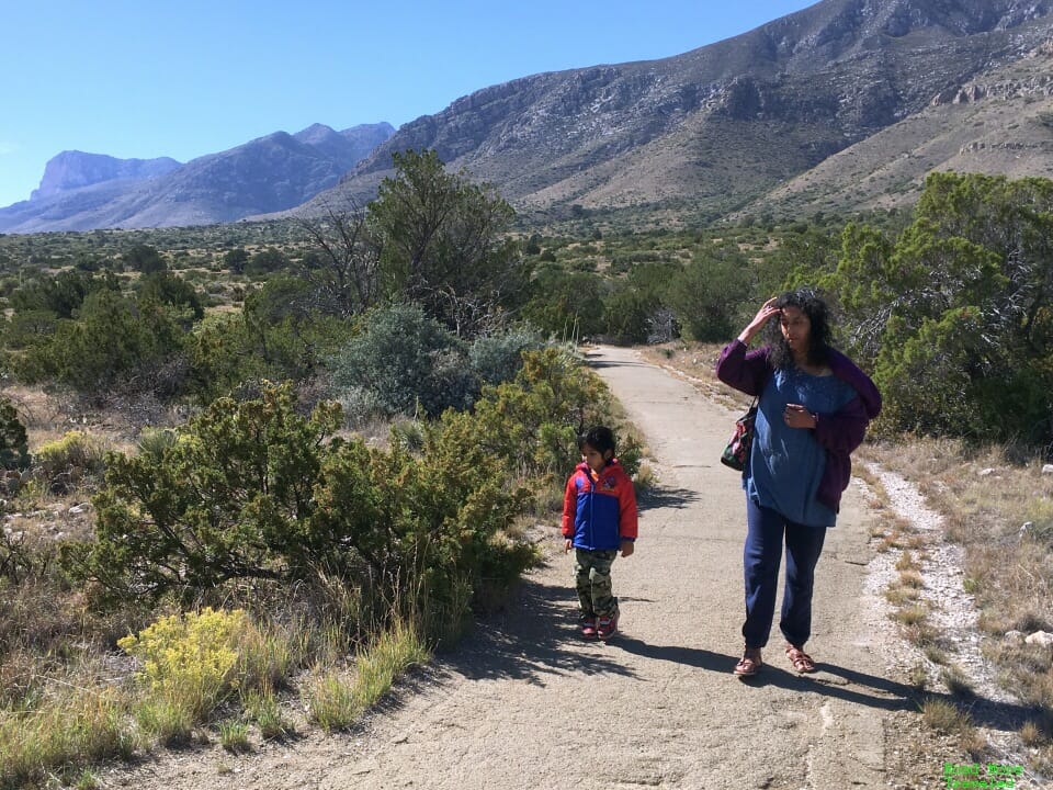 Guadalupe Mountains National Park, Texas