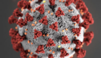 a close-up of a virus