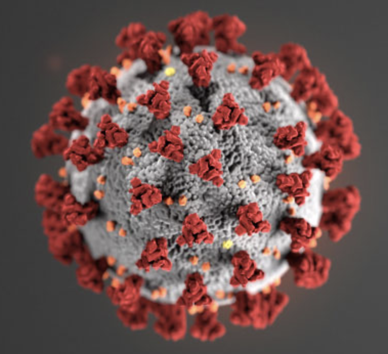a close-up of a virus