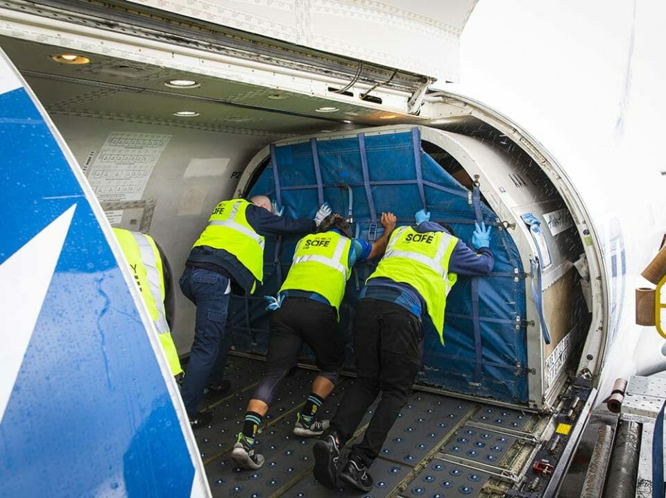 a group of people in vests loading a plane
