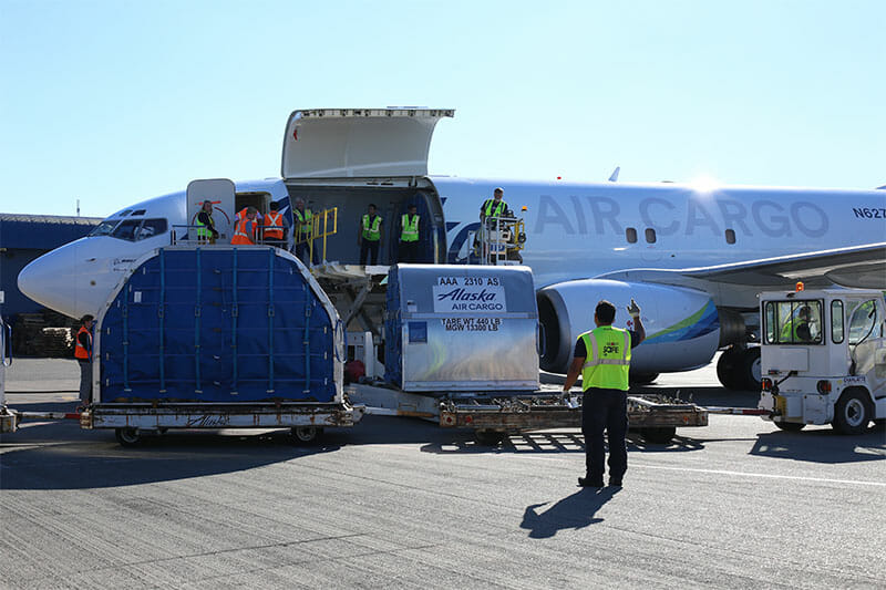 a group of people standing next to an airplane