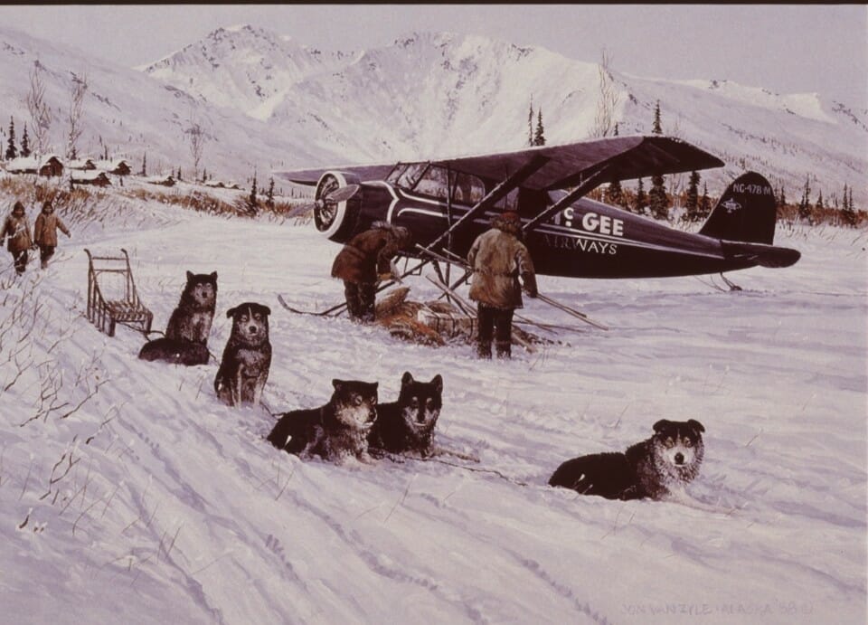 a group of dogs sitting in the snow next to a plane