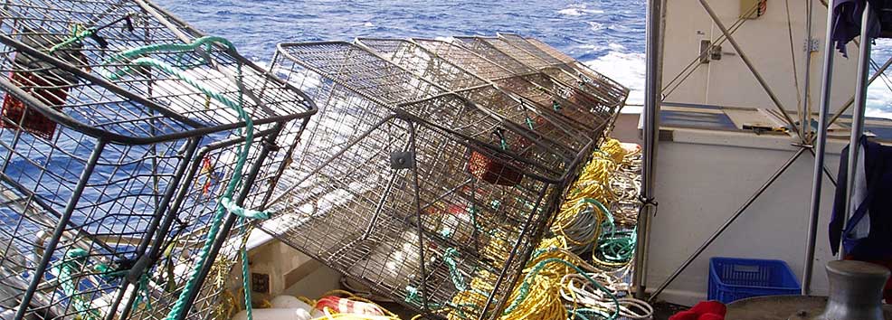 several cages on a boat