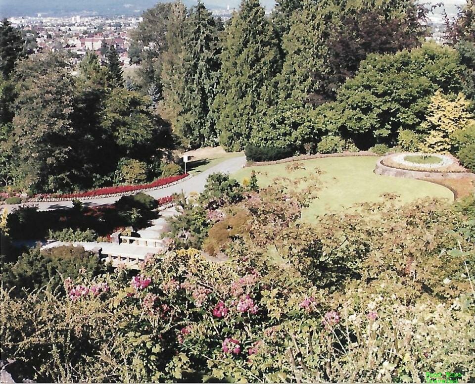 Stanley Park Rose Garden