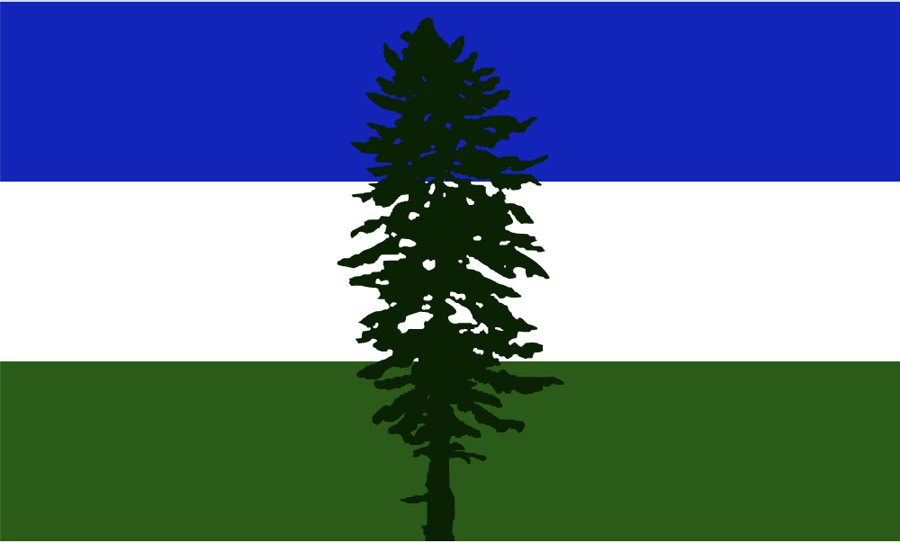 a silhouette of a tree in front of a blue and white flag