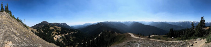 a mountain range with trees