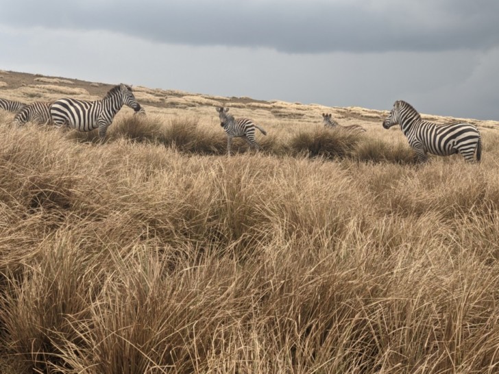 ngorongoro crater