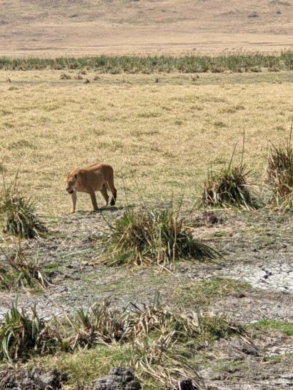 ngorongoro crater