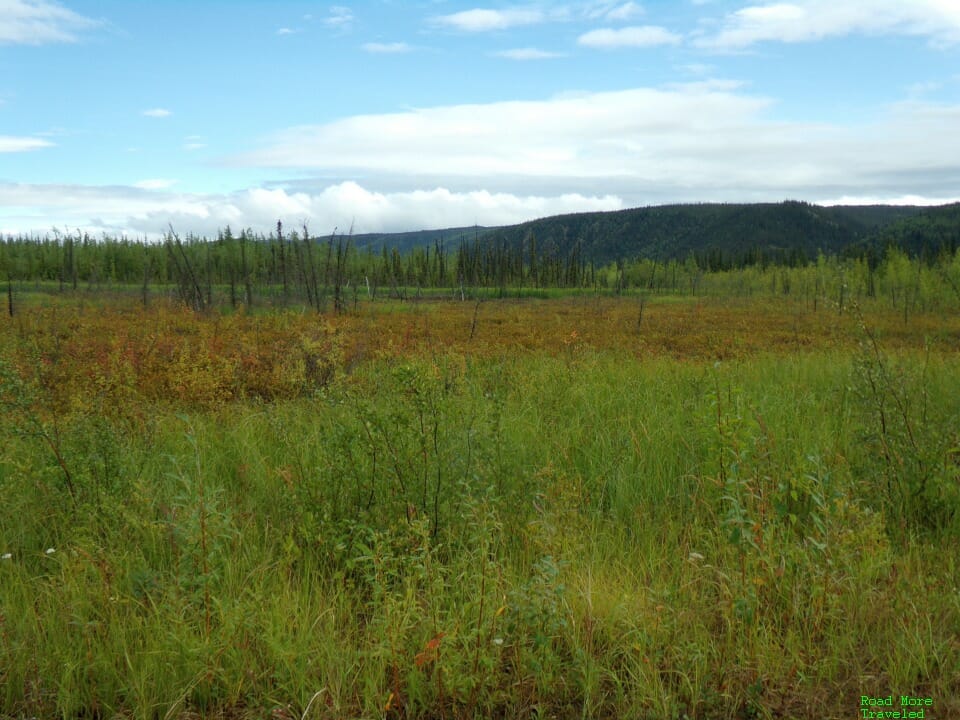 Summer landscape at Yukon River