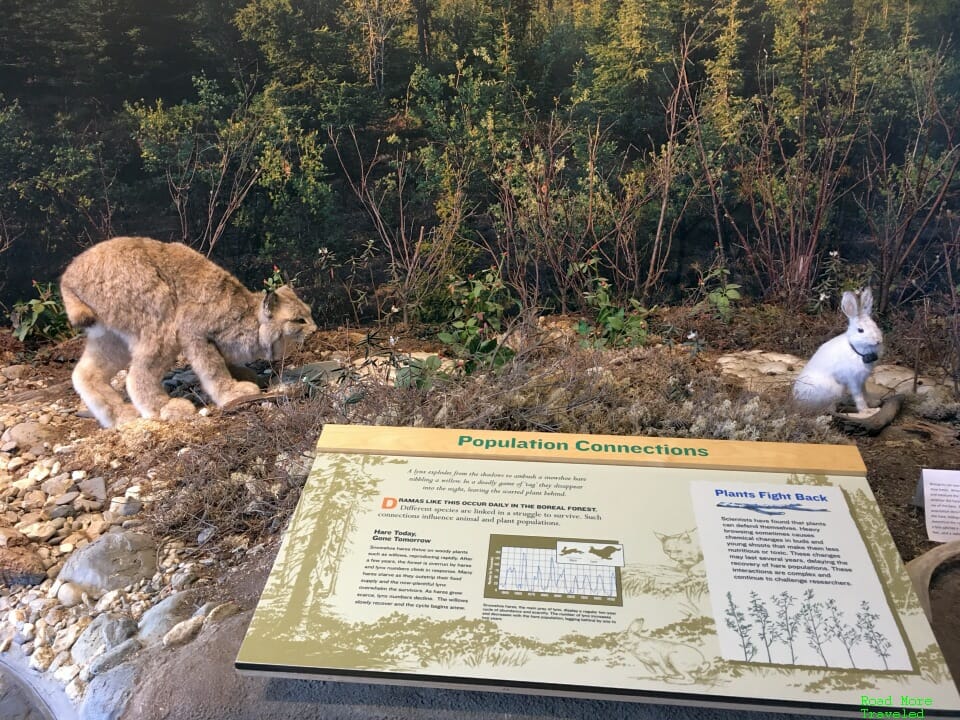 Arctic Interagency Visitor Center exhibit