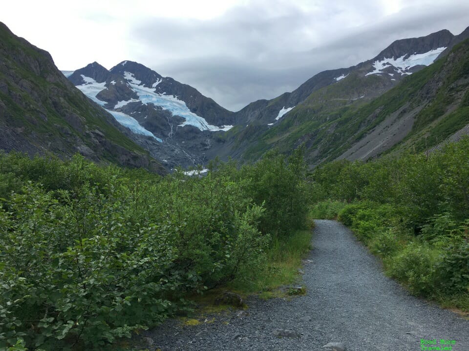 Glacier Hopping in Southern Alaska - Byron Glacier from trail