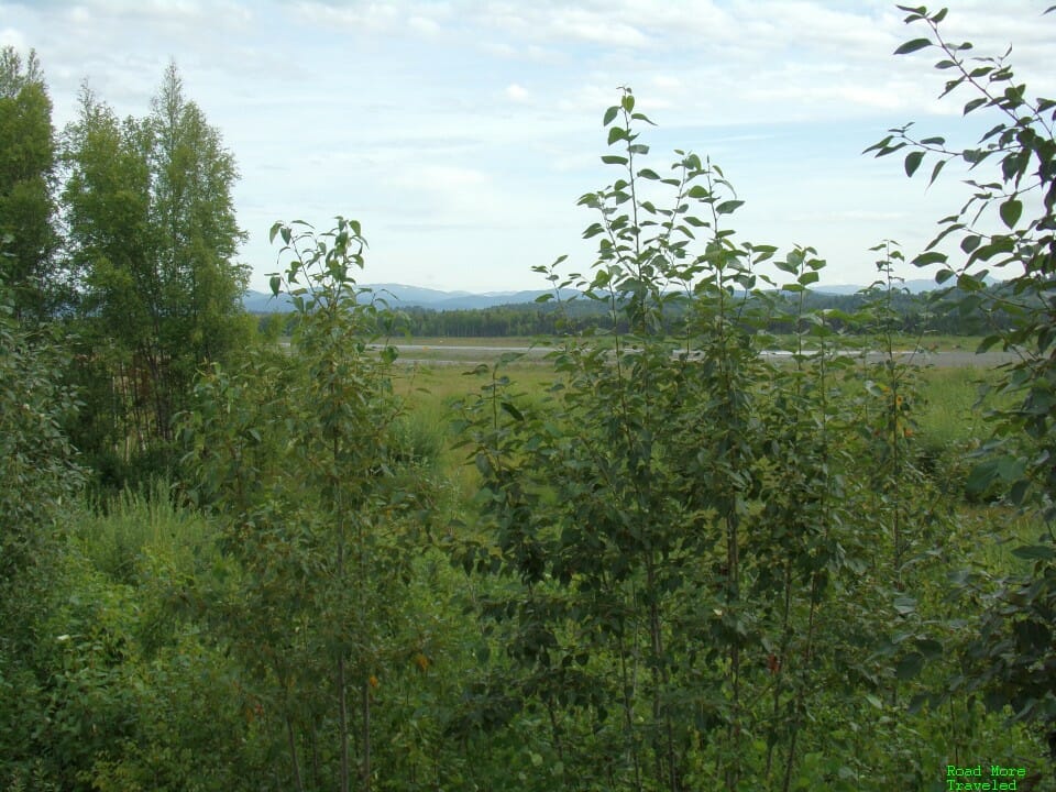 Landscape of northern Mat-Su Valley, Alaska