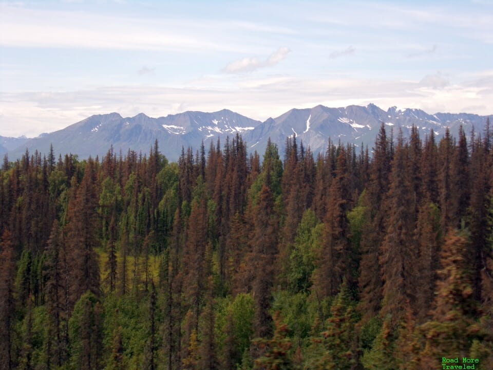 Alaska Range through forest