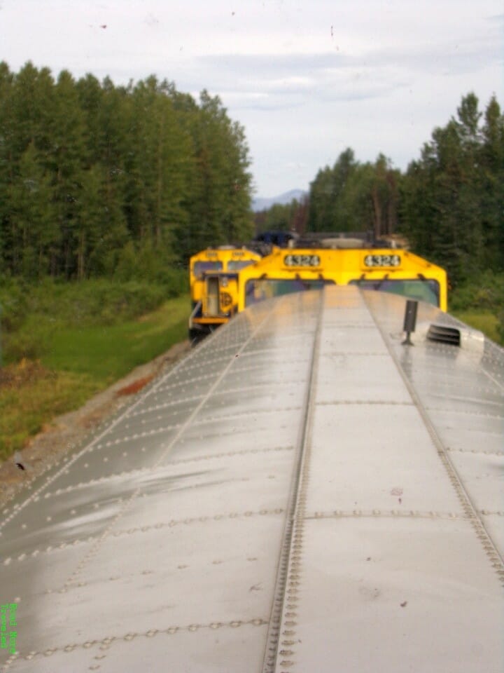 Two Denali Star trains meet in the forest...