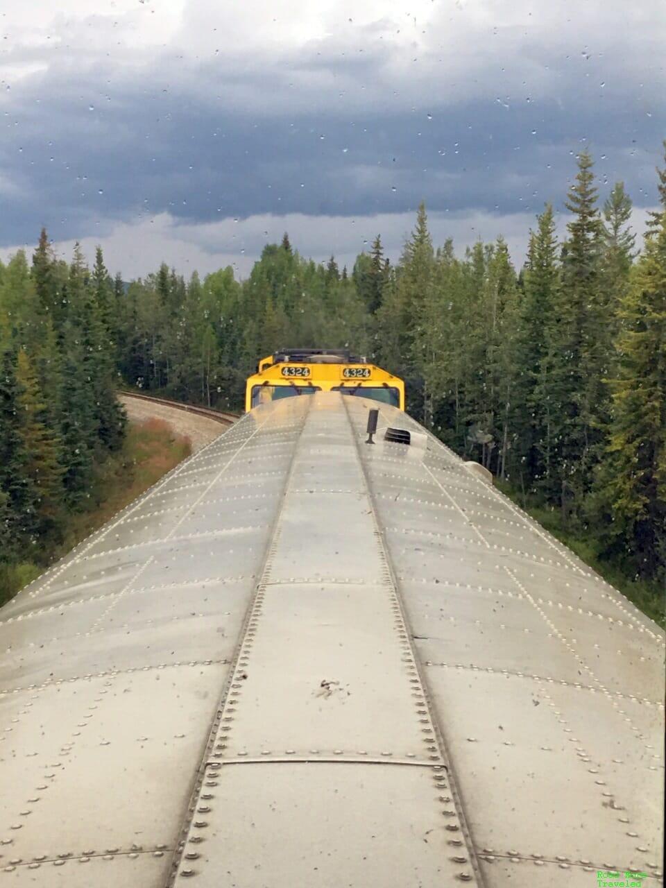 Boreal forest between Nenana and Fairbanks, Alaska