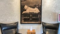 a picture of a dog on a box on a table next to two chairs