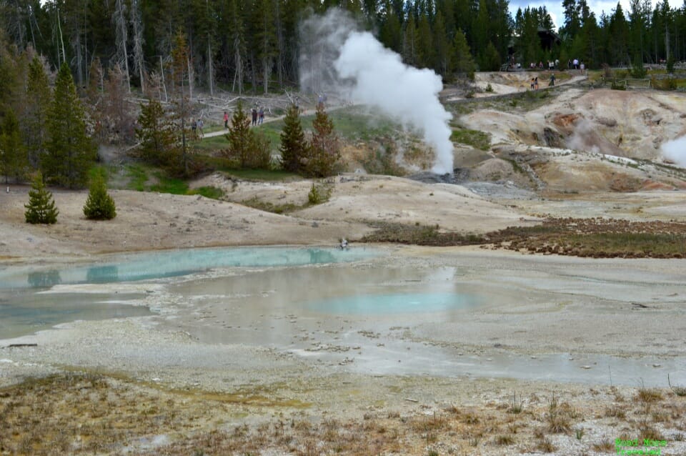 Norris Geyser Basin, Yellowstone National Park