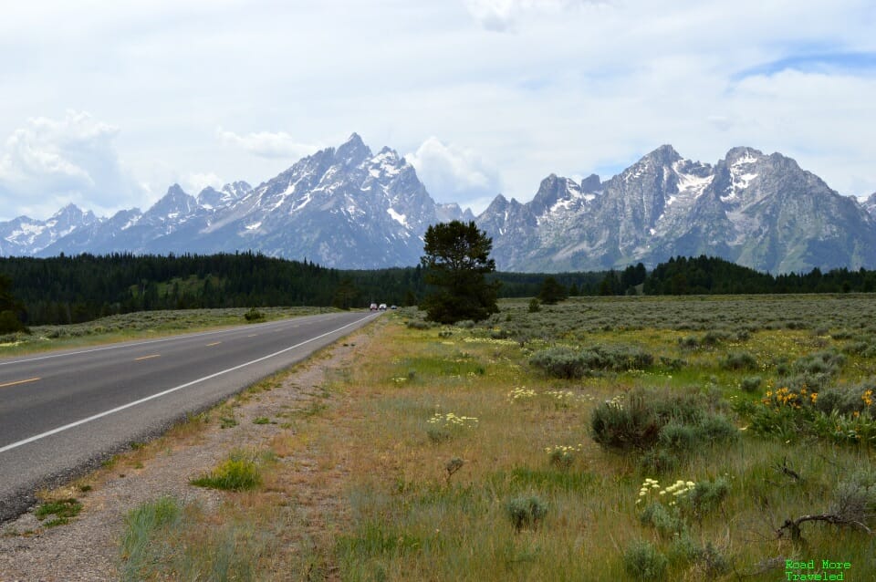 Tuesday Midday on Teton Park Road