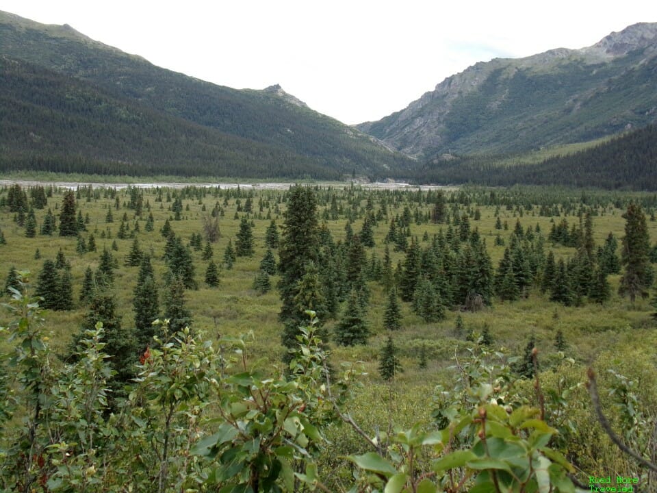 Denali Park Road at Hogan Creek