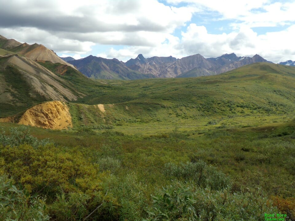 The Denali Road Lottery - Sable Pass MP 40