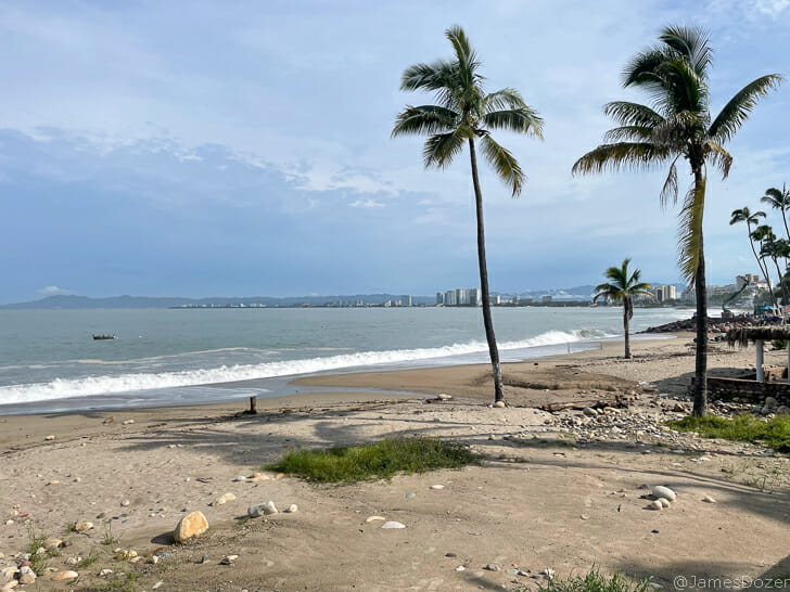 a beach with palm trees and waves