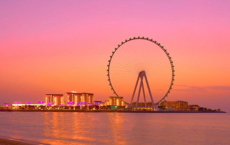 a ferris wheel in front of a city